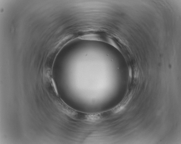 X0000073730141200608031339