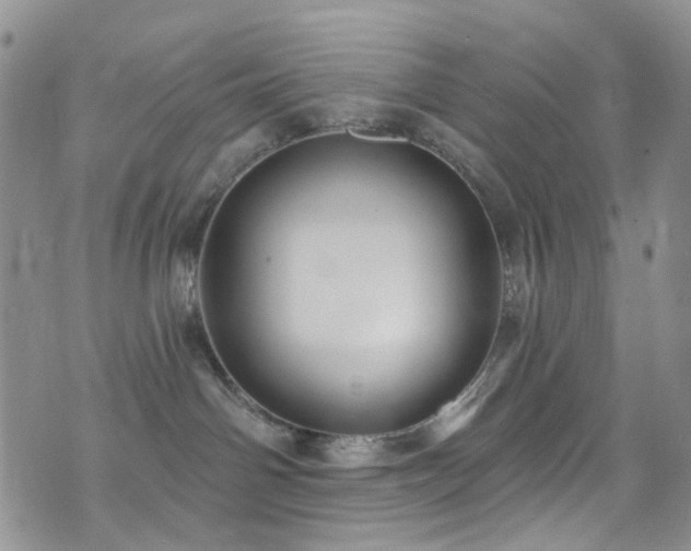 X0000073730142200608031339