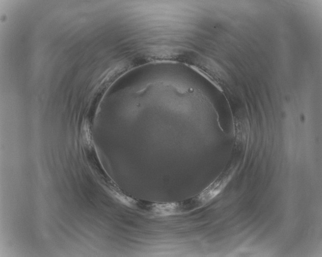 X0000073730143200608031339