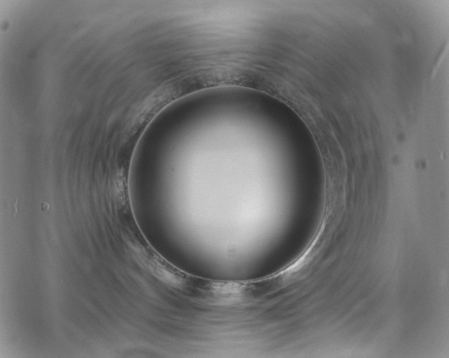 X0000073730144200608031339