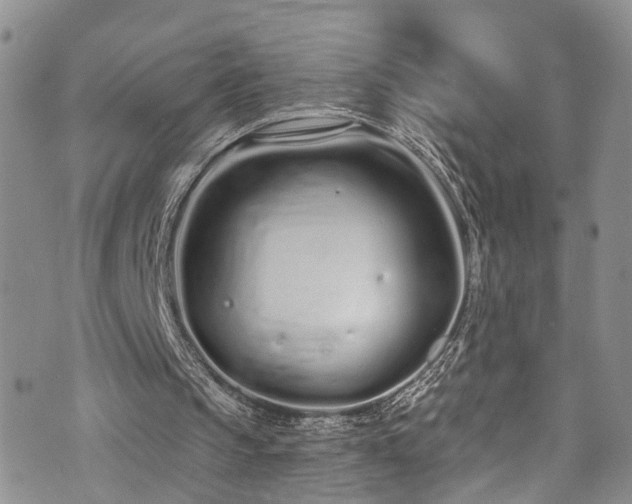 X0000073730145200608031338