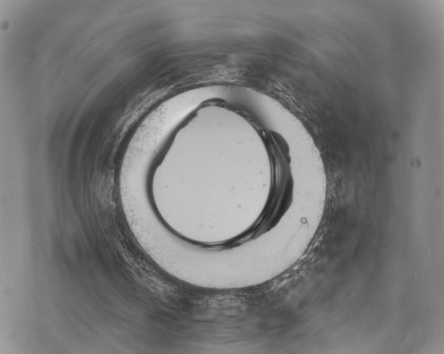 X0000073730146200608031338