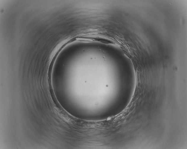 X0000073730147200608031338