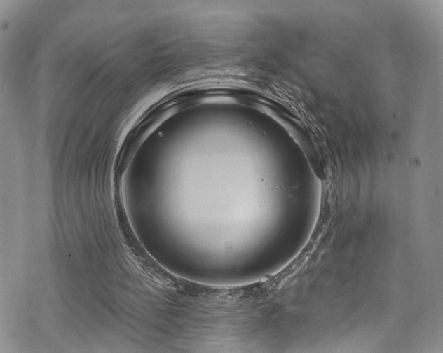 X0000073730148200608031338