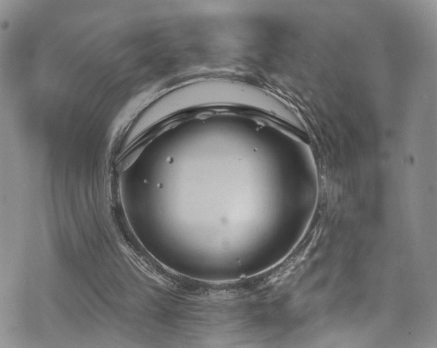 X0000073730149200608031338