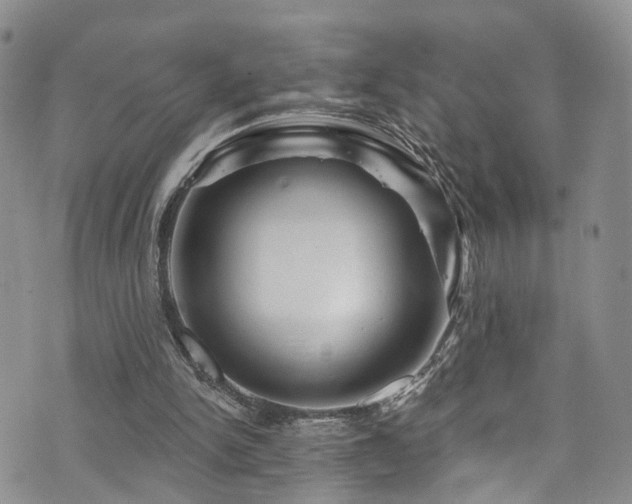 X0000073730150200608031338