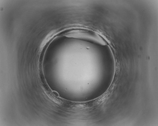 X0000073730151200608031338