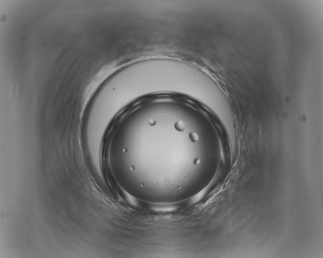 X0000073730152200608031338