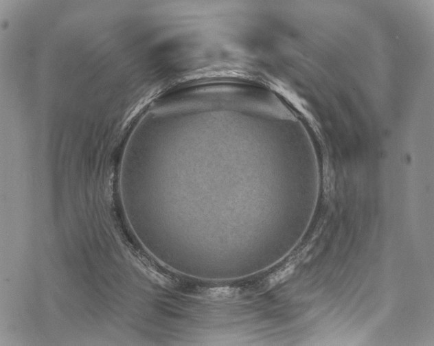 X0000073730153200608031338