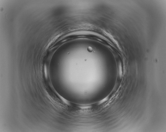 X0000073730154200608031338