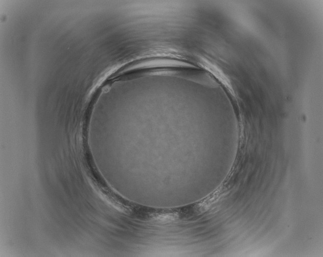 X0000073730155200608031338