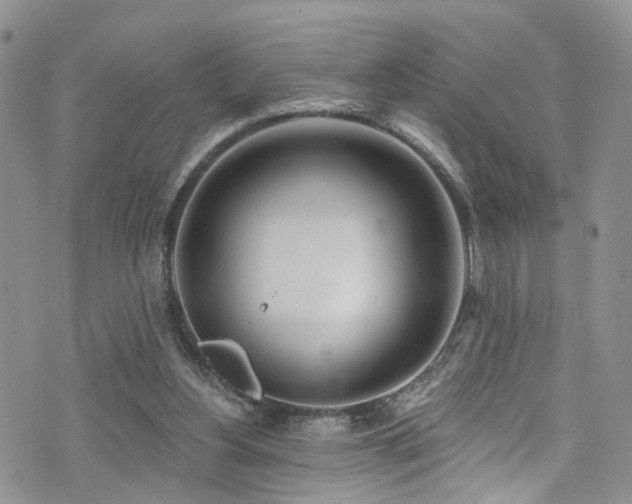 X0000073730156200608031338