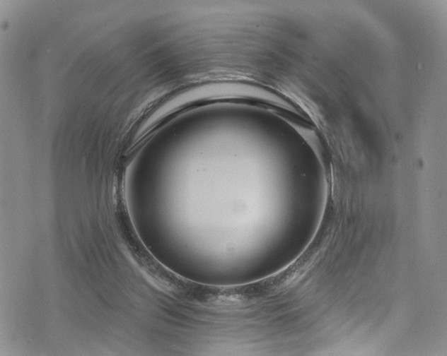 X0000073730157200608031338