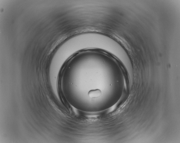 X0000073730158200608031338