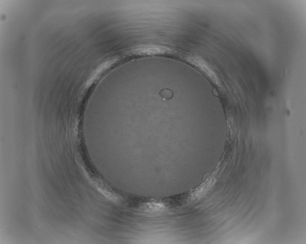 X0000073730159200608031338