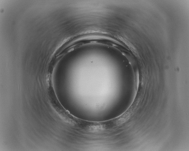 X0000073730160200608031338