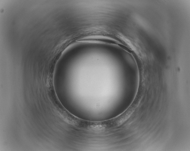 X0000073730161200608031338