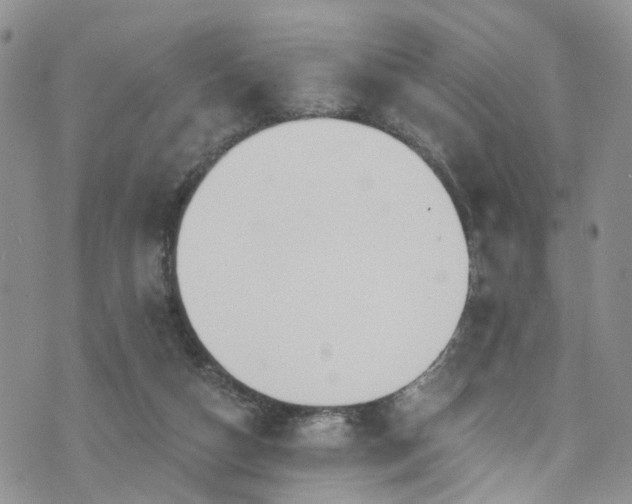 X0000073730162200608031338