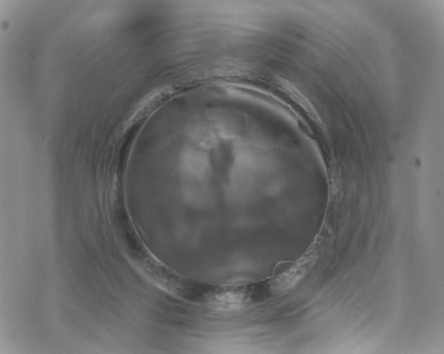 X0000073730163200608031338