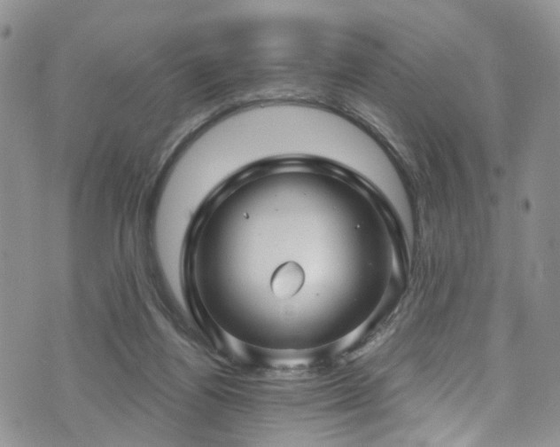 X0000073730164200608031338