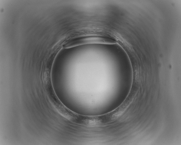 X0000073730165200608031338