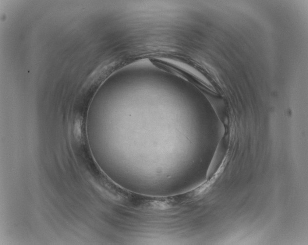 X0000073730166200608031338