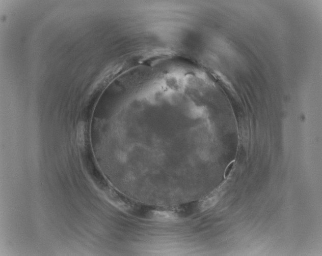 X0000073730167200608031338