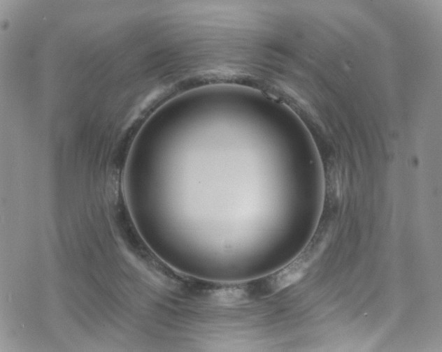 X0000073730168200608031338