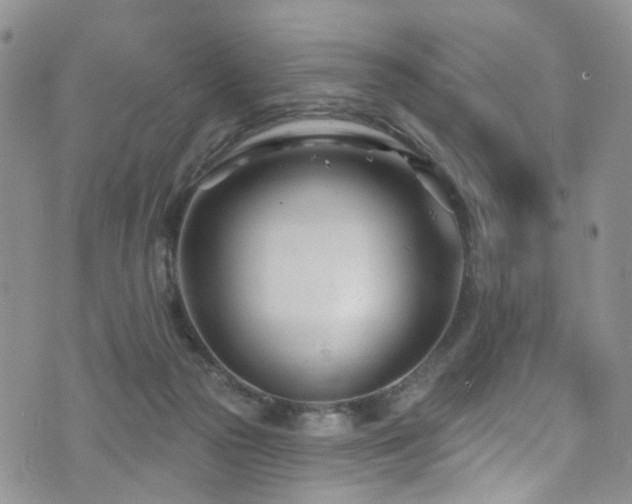 X0000073730169200608031338