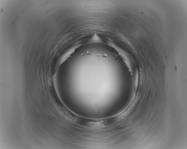 X0000073730170200608031338