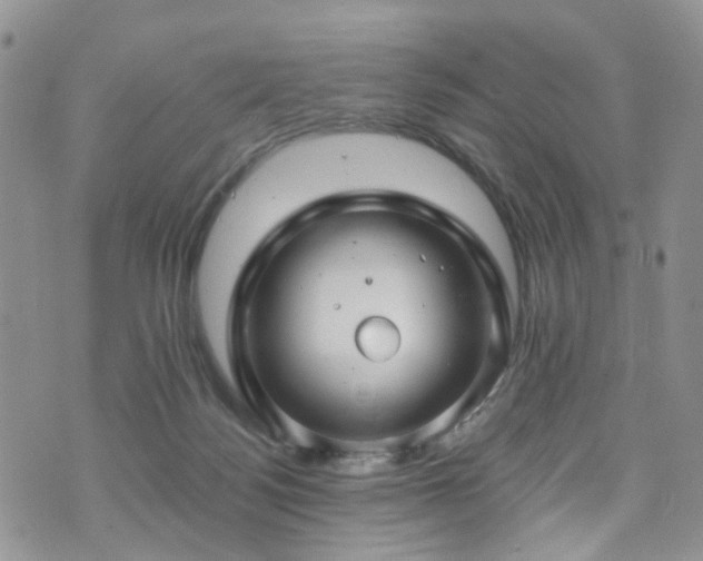 X0000073730172200608031338