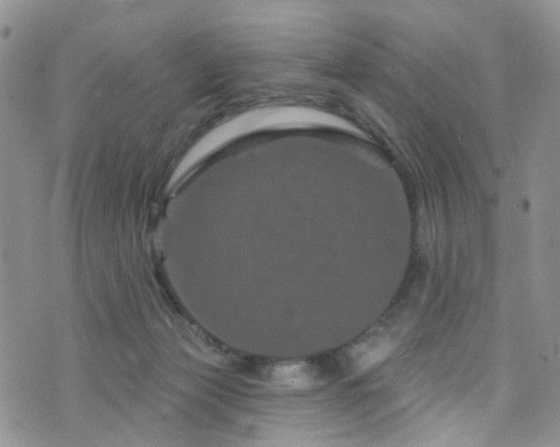 X0000073730173200608031338