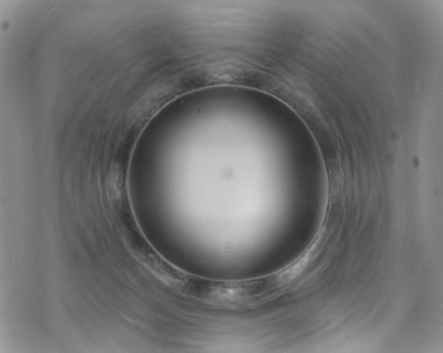 X0000073730174200608031338