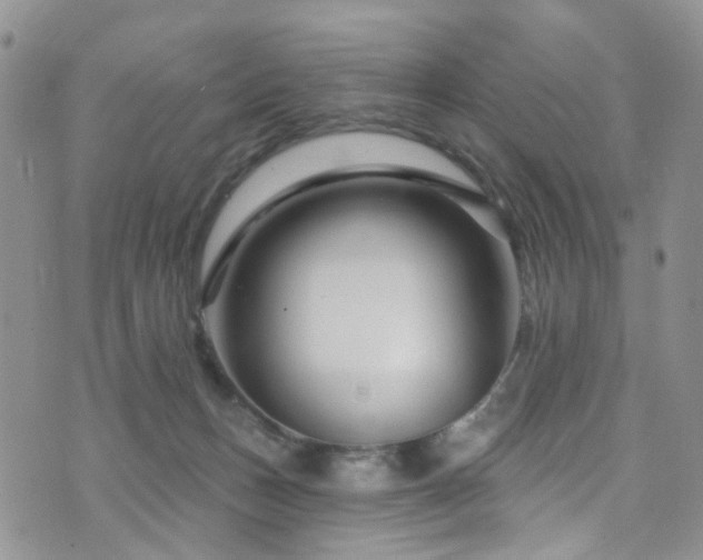 X0000073730175200608031338