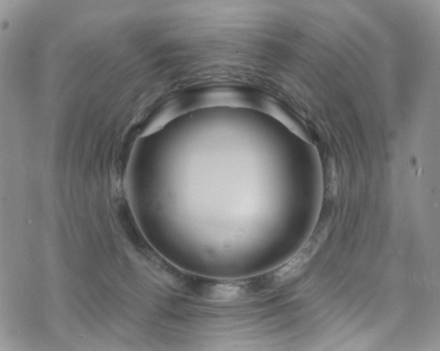 X0000073730176200608031338