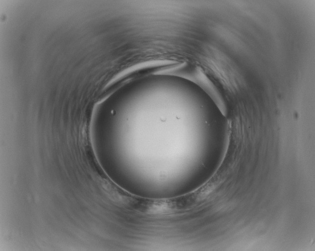 X0000073730177200608031339