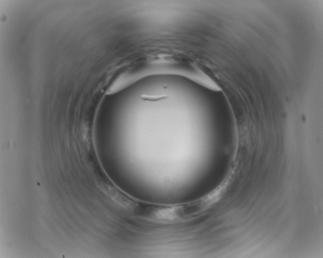 X0000073730178200608031339