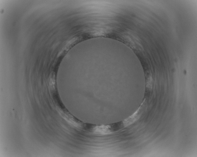 X0000073730179200608031339