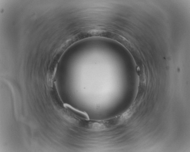 X0000073730180200608031339