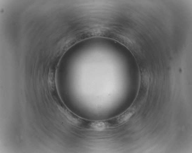 X0000073730181200608031339