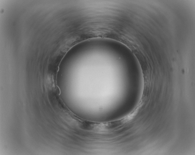 X0000073730182200608031339