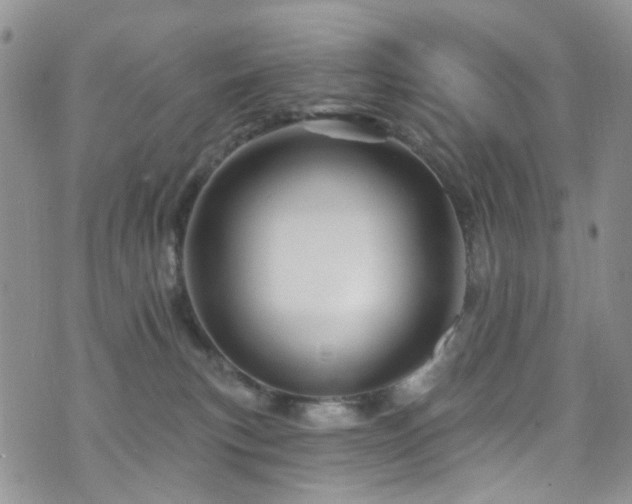 X0000073730183200608031339