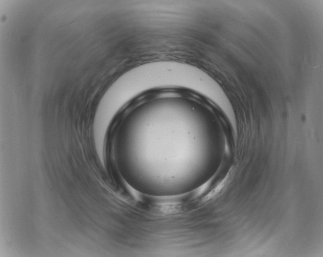 X0000073730184200608031339