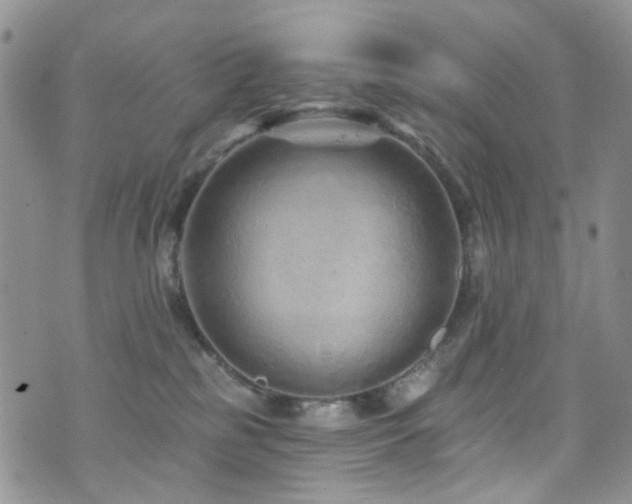 X0000073730185200608031339