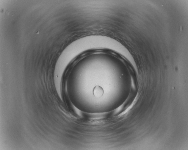 X0000073730186200608031339