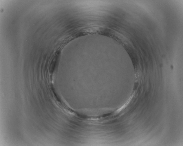 X0000073730187200608031339