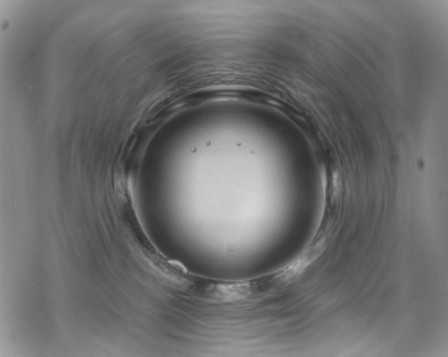 X0000073730188200608031339