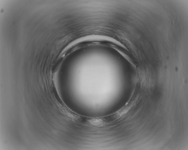 X0000073730189200608031339