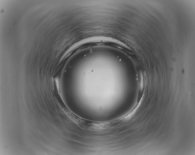 X0000073730190200608031339