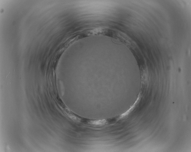 X0000073730191200608031339